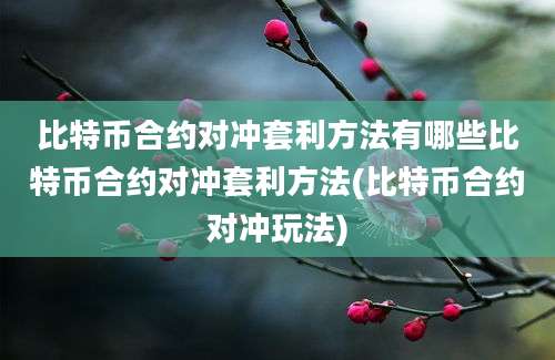 比特币合约对冲套利方法有哪些比特币合约对冲套利方法(比特币合约对冲玩法)