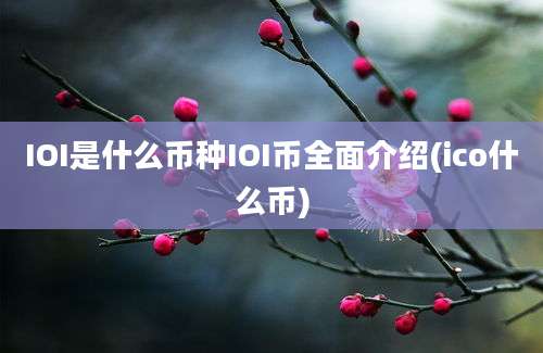 IOI是什么币种IOI币全面介绍(ico什么币)