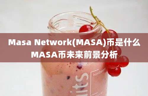 Masa Network(MASA)币是什么MASA币未来前景分析