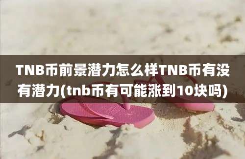 TNB币前景潜力怎么样TNB币有没有潜力(tnb币有可能涨到10块吗)