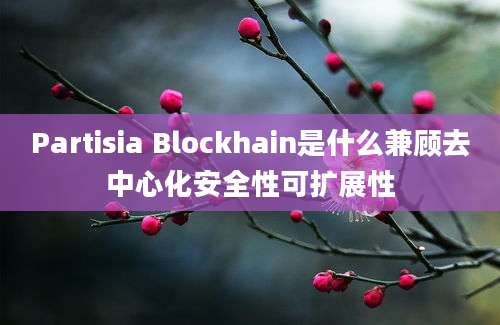 Partisia Blockhain是什么兼顾去中心化安全性可扩展性