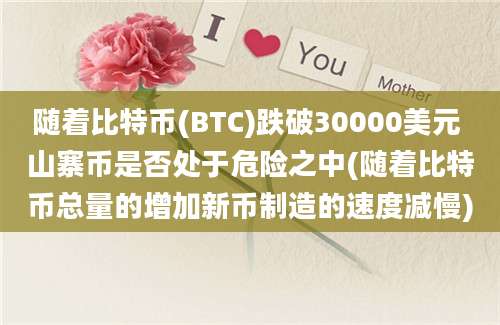 随着比特币(BTC)跌破30000美元 山寨币是否处于危险之中(随着比特币总量的增加新币制造的速度减慢)