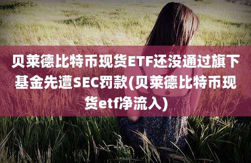 贝莱德比特币现货ETF还没通过旗下基金先遭SEC罚款(贝莱德比特币现货etf净流入)