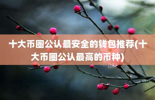 十大币圈公认最安全的钱包推荐(十大币圈公认最高的币种)