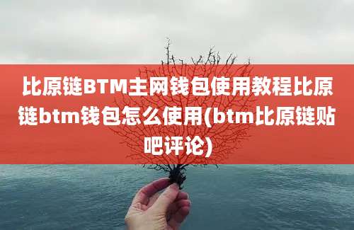 比原链BTM主网钱包使用教程比原链btm钱包怎么使用(btm比原链贴吧评论)