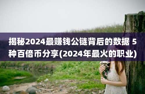 揭秘2024最赚钱公链背后的数据 5种百倍币分享(2024年最火的职业)