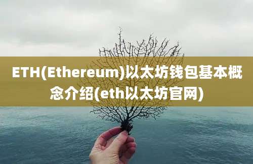 ETH(Ethereum)以太坊钱包基本概念介绍(eth以太坊官网)