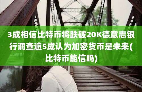 3成相信比特币将跌破20K德意志银行调查逾5成认为加密货币是未来(比特币能信吗)