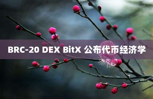 BRC-20 DEX BitX 公布代币经济学