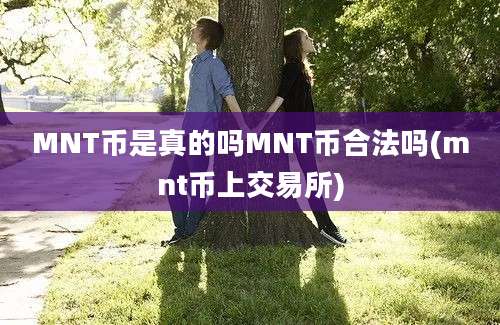 MNT币是真的吗MNT币合法吗(mnt币上交易所)