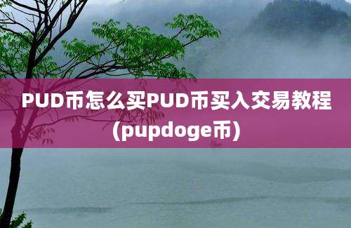 PUD币怎么买PUD币买入交易教程(pupdoge币)