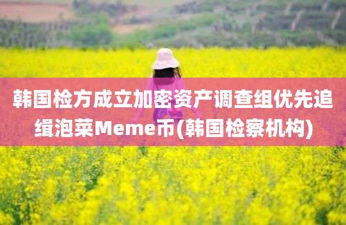 韩国检方成立加密资产调查组优先追缉泡菜Meme币(韩国检察机构)