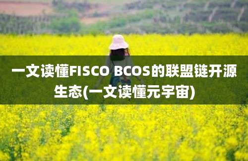 一文读懂FISCO BCOS的联盟链开源生态(一文读懂元宇宙)