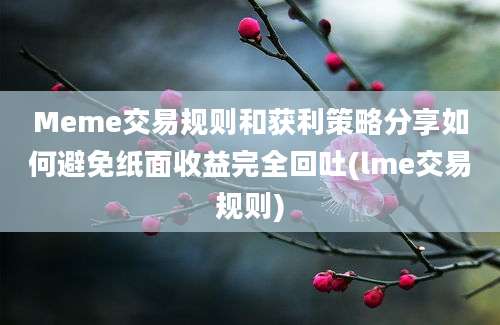 Meme交易规则和获利策略分享如何避免纸面收益完全回吐(lme交易规则)