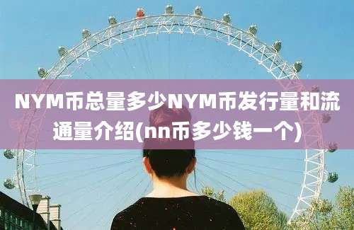 NYM币总量多少NYM币发行量和流通量介绍(nn币多少钱一个)