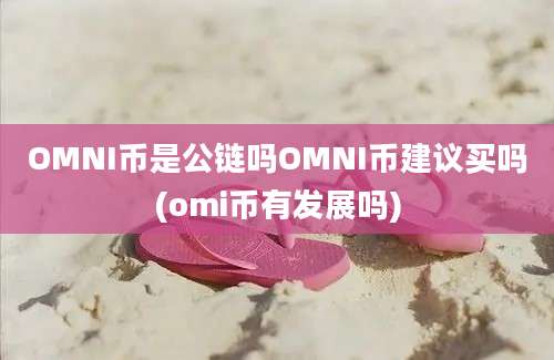 OMNI币是公链吗OMNI币建议买吗(omi币有发展吗)