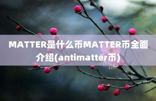 MATTER是什么币MATTER币全面介绍(antimatter币)