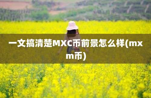 一文搞清楚MXC币前景怎么样(mxm币)