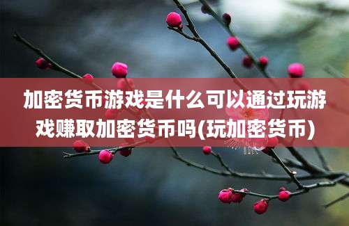 加密货币游戏是什么可以通过玩游戏赚取加密货币吗(玩加密货币)