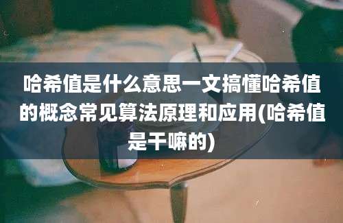 哈希值是什么意思一文搞懂哈希值的概念常见算法原理和应用(哈希值是干嘛的)