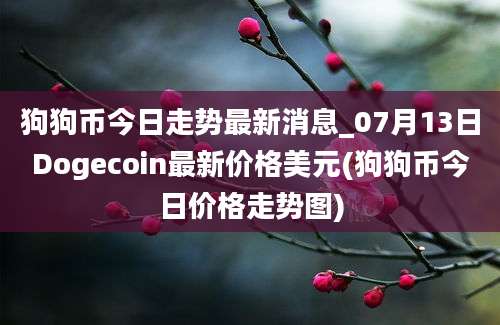 狗狗币今日走势最新消息_07月13日Dogecoin最新价格美元(狗狗币今日价格走势图)