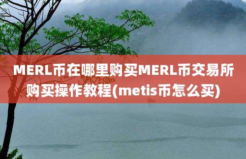 MERL币在哪里购买MERL币交易所购买操作教程(metis币怎么买)