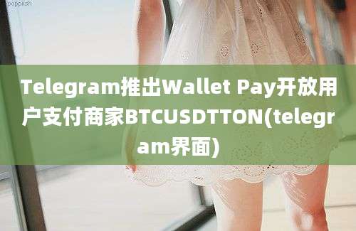 Telegram推出Wallet Pay开放用户支付商家BTCUSDTTON(telegram界面)