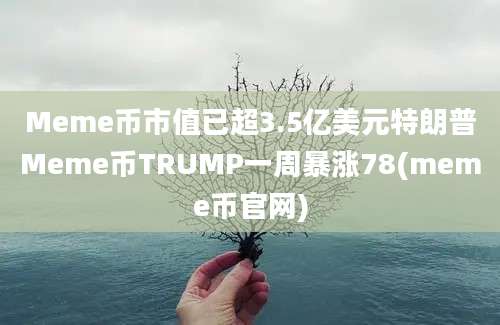 Meme币市值已超3.5亿美元特朗普Meme币TRUMP一周暴涨78(meme币官网)