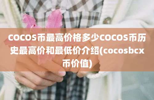 COCOS币最高价格多少COCOS币历史最高价和最低价介绍(cocosbcx币价值)