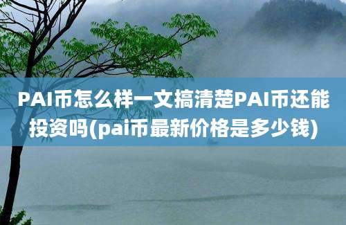 PAI币怎么样一文搞清楚PAI币还能投资吗(pai币最新价格是多少钱)