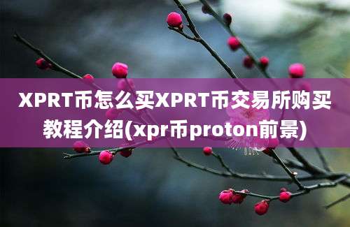 XPRT币怎么买XPRT币交易所购买教程介绍(xpr币proton前景)