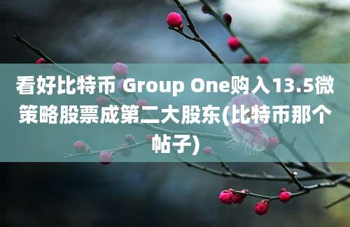 看好比特币 Group One购入13.5微策略股票成第二大股东(比特币那个帖子)