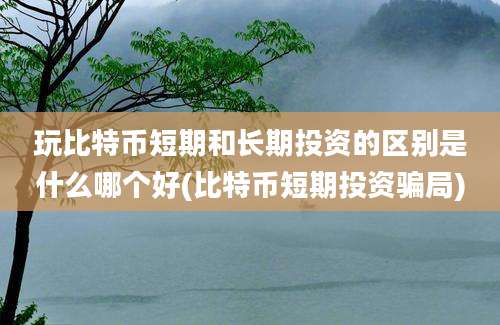 玩比特币短期和长期投资的区别是什么哪个好(比特币短期投资骗局)