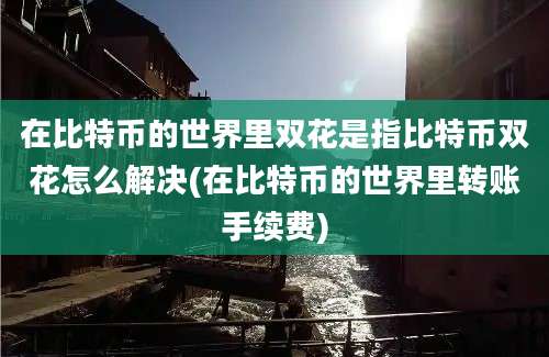 在比特币的世界里双花是指比特币双花怎么解决(在比特币的世界里转账手续费)