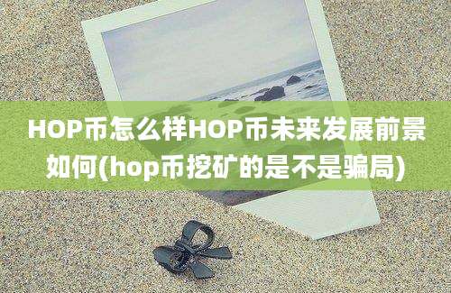 HOP币怎么样HOP币未来发展前景如何(hop币挖矿的是不是骗局)