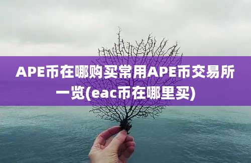 APE币在哪购买常用APE币交易所一览(eac币在哪里买)