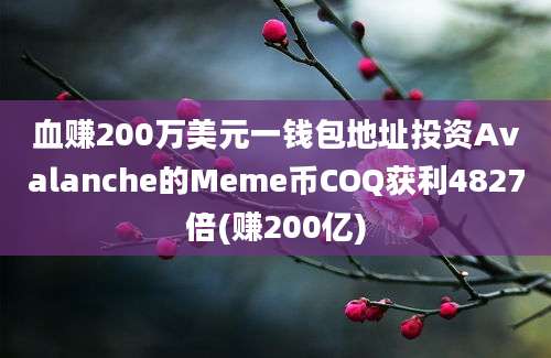 血赚200万美元一钱包地址投资Avalanche的Meme币COQ获利4827倍(赚200亿)