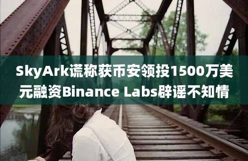 SkyArk谎称获币安领投1500万美元融资Binance Labs辟谣不知情