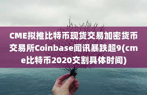 CME拟推比特币现货交易加密货币交易所Coinbase闻讯暴跌超9(cme比特币2020交割具体时间)