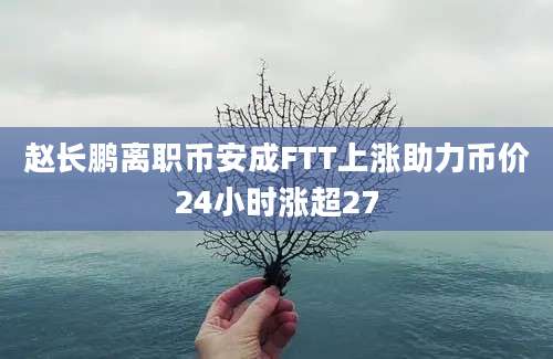 赵长鹏离职币安成FTT上涨助力币价24小时涨超27