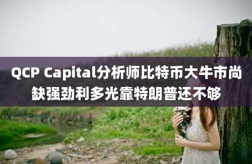 QCP Capital分析师比特币大牛市尚缺强劲利多光靠特朗普还不够