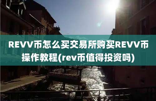 REVV币怎么买交易所购买REVV币操作教程(rev币值得投资吗)