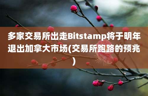 多家交易所出走Bitstamp将于明年退出加拿大市场(交易所跑路的预兆)