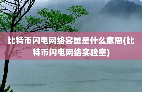 比特币闪电网络容量是什么意思(比特币闪电网络实验室)