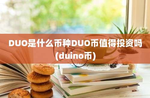 DUO是什么币种DUO币值得投资吗(duino币)