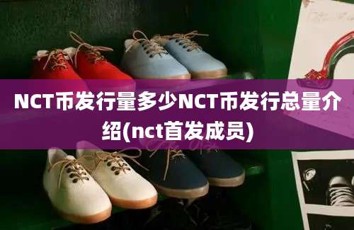 NCT币发行量多少NCT币发行总量介绍(nct首发成员)