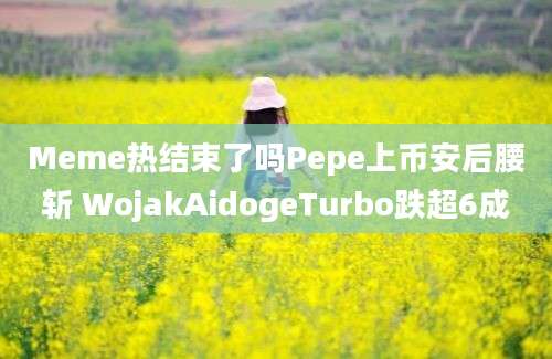 Meme热结束了吗Pepe上币安后腰斩 WojakAidogeTurbo跌超6成