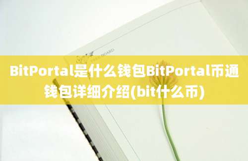 BitPortal是什么钱包BitPortal币通钱包详细介绍(bit什么币)