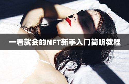 一看就会的NFT新手入门简明教程