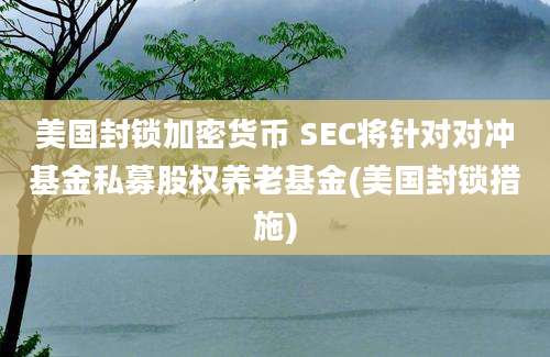 美国封锁加密货币 SEC将针对对冲基金私募股权养老基金(美国封锁措施)